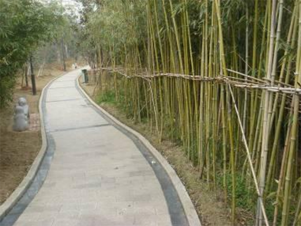 蘆溪自來(lái)水廠綠化工程