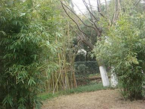 蘆溪自來(lái)水廠綠化工程